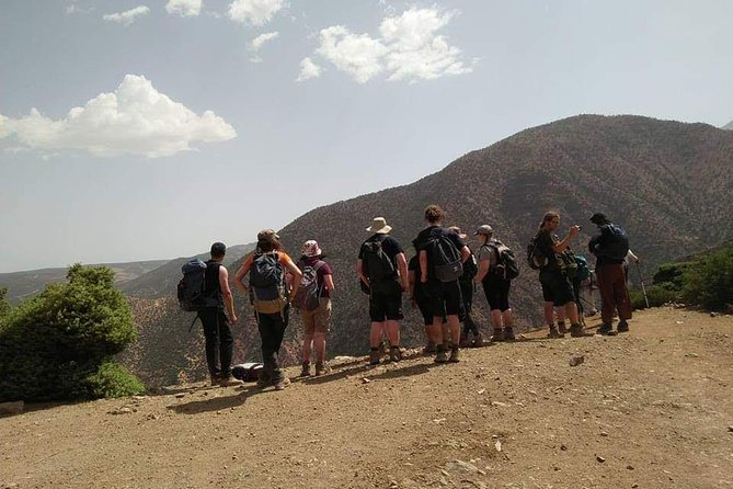 Day trip from Marrakech to atlas mountains & Berber village hike - Imlil valley and terraces: what to notice while you’re in motion