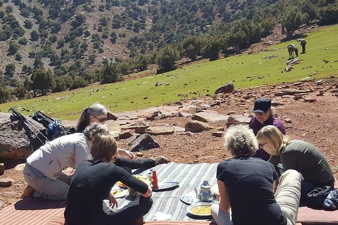 Day trip from Marrakech to atlas mountains & Berber village hike - Who should book, and who should adjust expectations