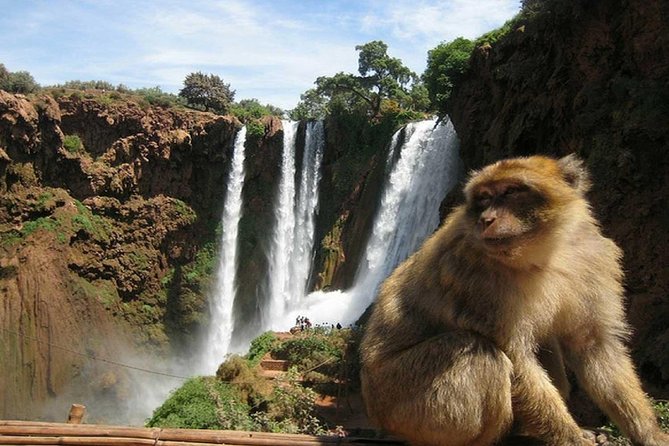 Day Trip To Ouzoud Waterfalls (Guide Hike & Boat are options) - Who should book this trip, and who might not love it