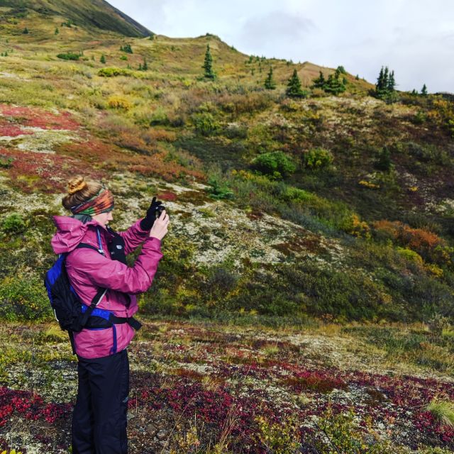 Denali: 5-Hour Guided Wilderness Hiking Tour - Glacier Topology and Naturalist Stories That Keep You Going