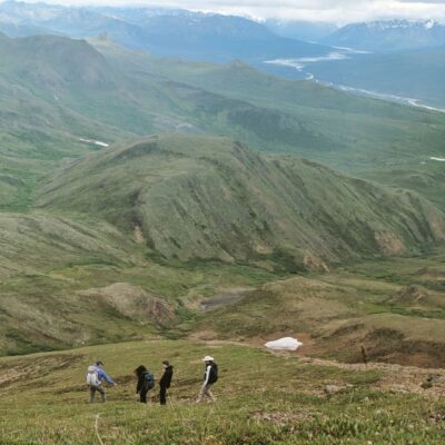 Denali: 5-Hour Guided Wilderness Hiking Tour - Above the Tree Line: Where the Views Start Making Sense