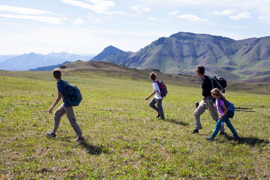 Denali: 5-Hour Guided Wilderness Hiking Tour - Gear and Packing: What’s Included vs What You Must Bring