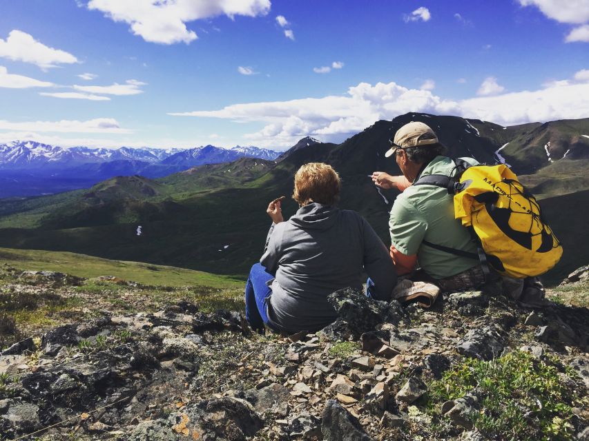 Denali: 5-Hour Guided Wilderness Hiking Tour - Who This Denali Hike Fits Best (And Who Should Skip)