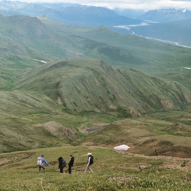 Denali: 5-Hour Guided Wilderness Hiking Tour - Above the Tree Line: Where the Views Start Making Sense