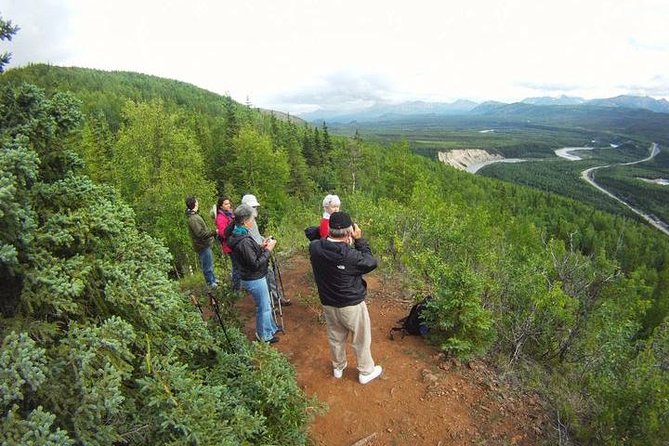 Denali 5 Hour Hiking Tour with Naturalist Guide - Quick takeaways before you go