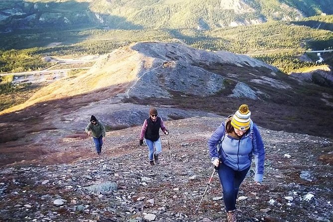 Denali 5 Hour Hiking Tour with Naturalist Guide - Denali at 11:15: what the schedule and pickup really mean