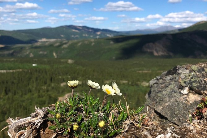 Denali 5 Hour Hiking Tour with Naturalist Guide - Stop 1 and Stop 2: how the day is structured on the ground