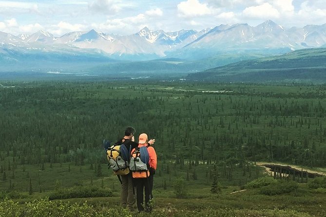 Denali 5 Hour Hiking Tour with Naturalist Guide - Glacier topology, Nenana River country, and the taiga you can read