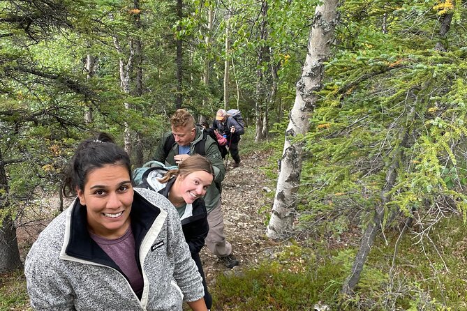 Denali Alaska Range 5hr Mountain Hike w/Views & Naturalist Guide - Key highlights to know before you go