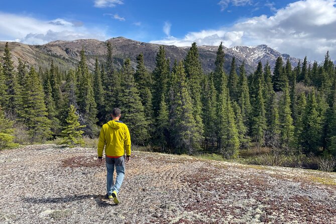 Denali Off-Trail Hiking Adventure (4 Hours) w/Expert Naturalist - From your hotel to the edge of Denali’s wilderness