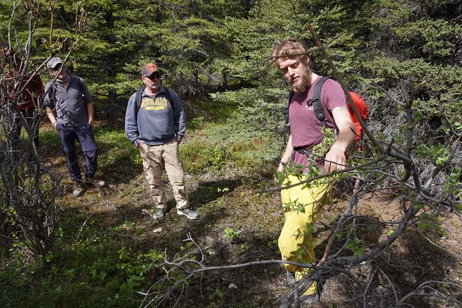 Denali Off-Trail Hiking Adventure (4 Hours) w/Expert Naturalist - What’s included, what’s not, and what that means for your day