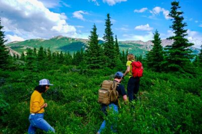 Denali Off-Trail Hiking Adventure (4 Hours) w/Expert Naturalist - Denali’s human stories: Athabaskan life and the survival mindset