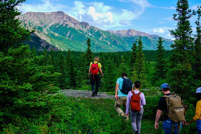 Denali Off-Trail Hiking Adventure (4 Hours) w/Expert Naturalist - Price and value: is $209 a fair trade for 4 hours?