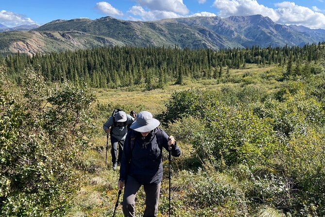 Denali Off-Trail Hiking Adventure (4 Hours) w/Expert Naturalist - What to wear and bring for Denali’s brushy off-trail terrain