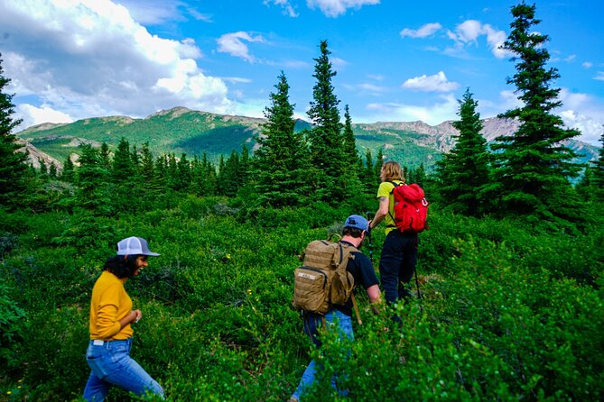 Denali Off-Trail Hiking Adventure (4 Hours) w/Expert Naturalist - Denali’s human stories: Athabaskan life and the survival mindset