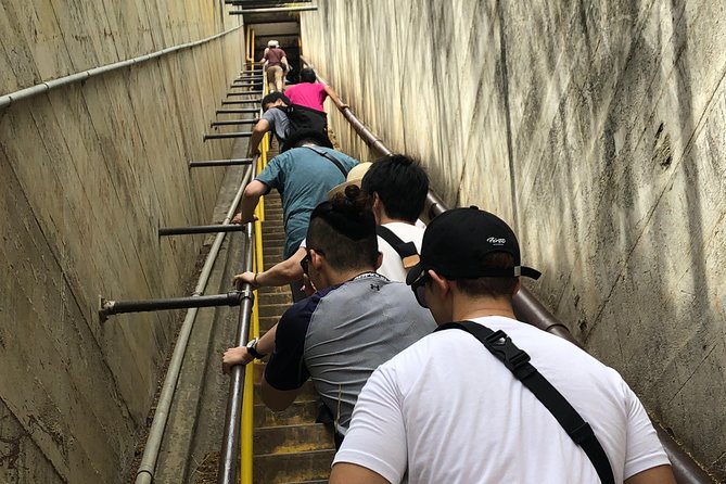 Diamond Head Bike to Hike and Local Lunch - The Crater Hike: Tunnel Entry, QR Code, and Views That Feel Earned