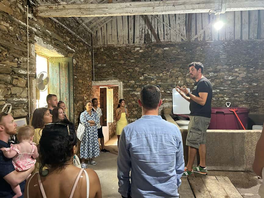 Douro valley: 10 km hike in the Valley - Optional 1-Hour Boat Tour: When the Valley Needs a New Angle
