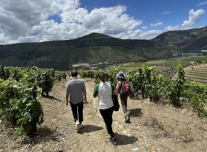 Douro valley: 10 km hike in the Valley - Price and Value: What $74 Really Buys You