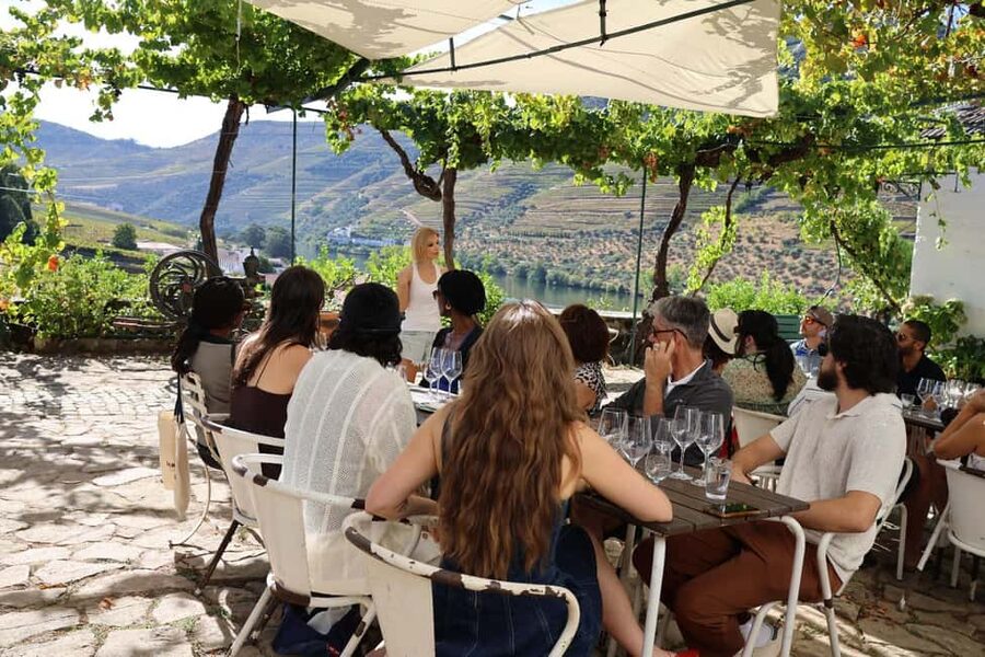 Douro valley: 10 km hike in the Valley - Logistics That Matter: Timing, Pace, and Group Size