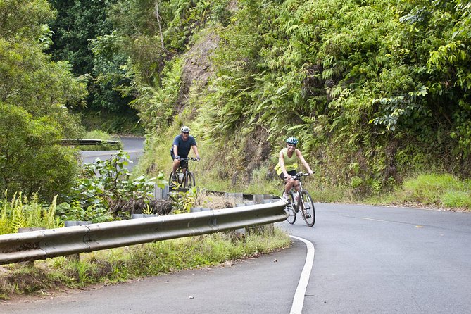 Downhill Bike and Ko'olau Waterfall Hike Tour - Key things I’d zero in on