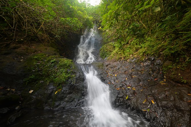 Downhill Bike and Ko'olau Waterfall Hike Tour - Guides and storytelling: why names like Daniel and Ray matter