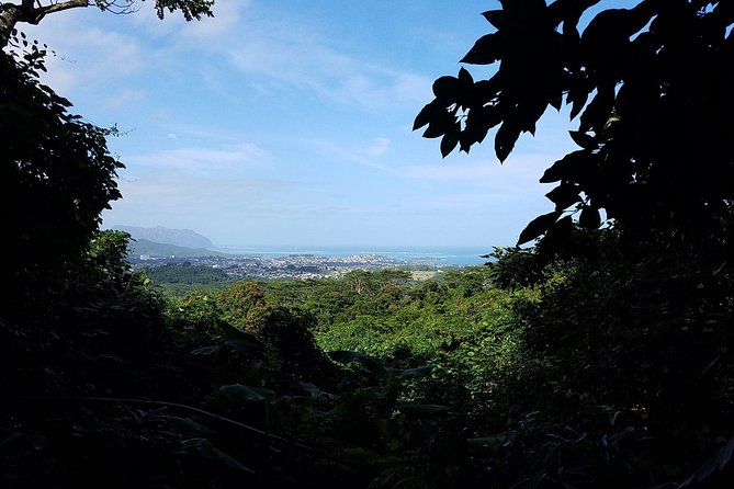 Downhill Bike and Ko'olau Waterfall Hike Tour - Price and value: what $196.64 buys you (and what it doesn’t)