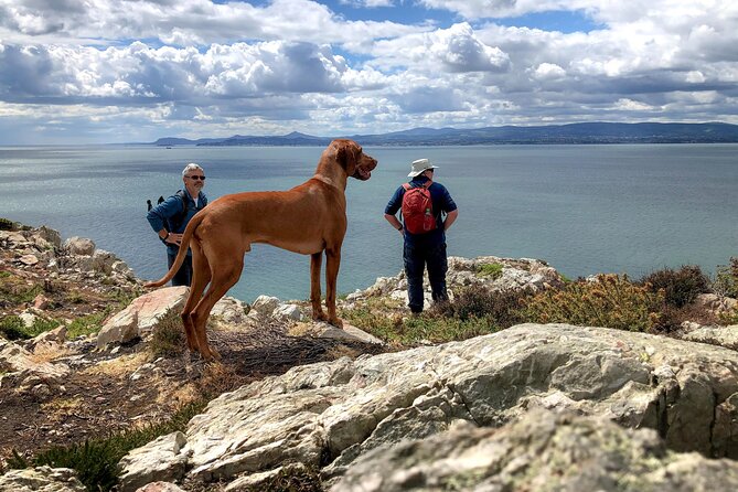 Dublin Coastal Hike with Howth Adventures - Harbor Seals and St Mary’s Abbey: How the Day Builds from Village to Coast