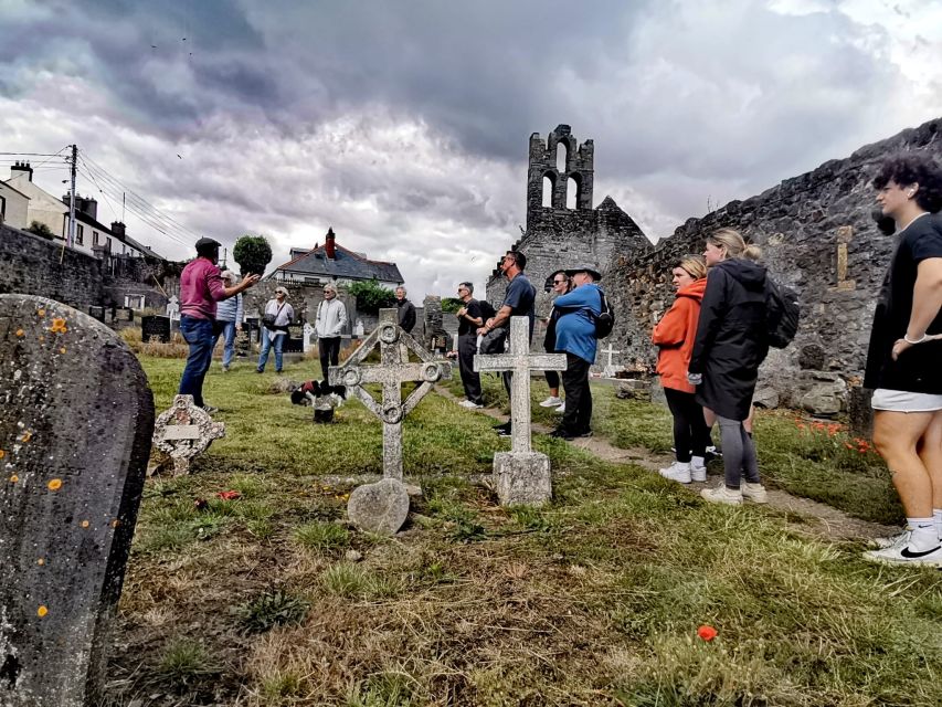 Dublin: Dublin Coastal Hike and Pints & Puppies - Who should book this coastal hike (and who shouldn’t)