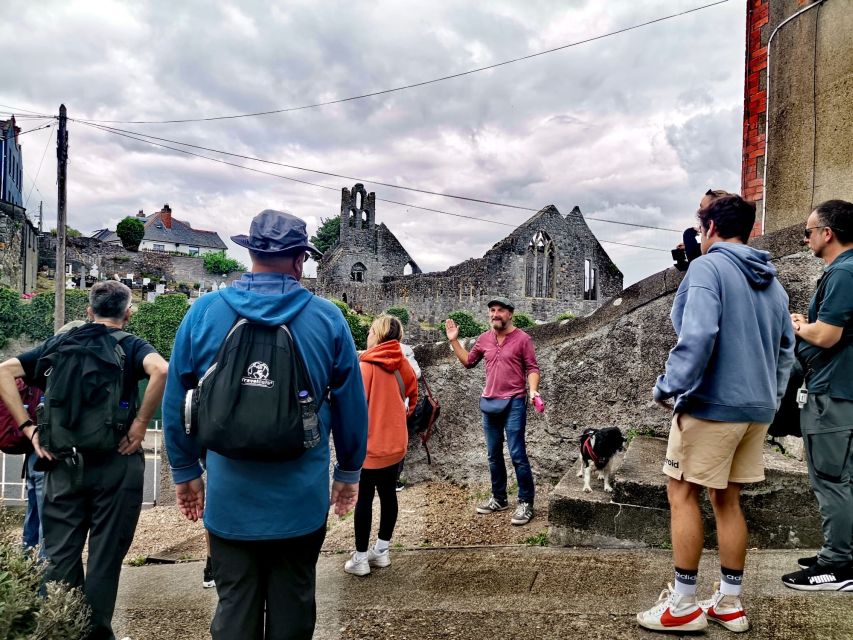 Dublin: Dublin Coastal Hike and Pints & Puppies - Price and value: what $53 really buys you