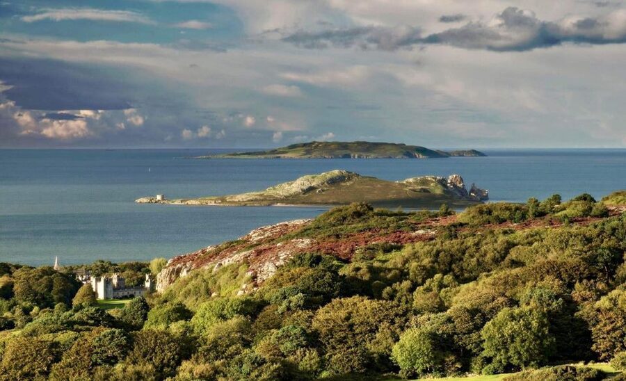 Dublin: Howth Coastal Hiking Tour - Howth Harbour Finish: Use the Knowledge Immediately