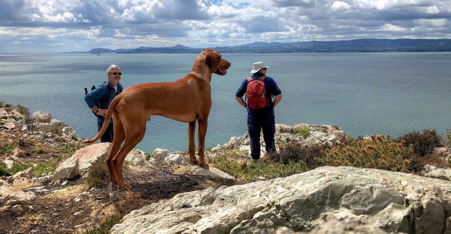 Dublin: Howth Coastal Hiking Tour - St Mary’s Abbey: Viking King Sitric’s 1042 Footprint