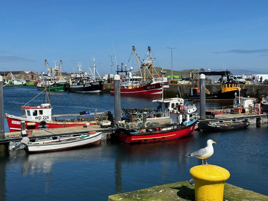 Dublin: Howth Coastal Hiking Tour - Balscadden Bay and How the Less-Trodden Paths Feel