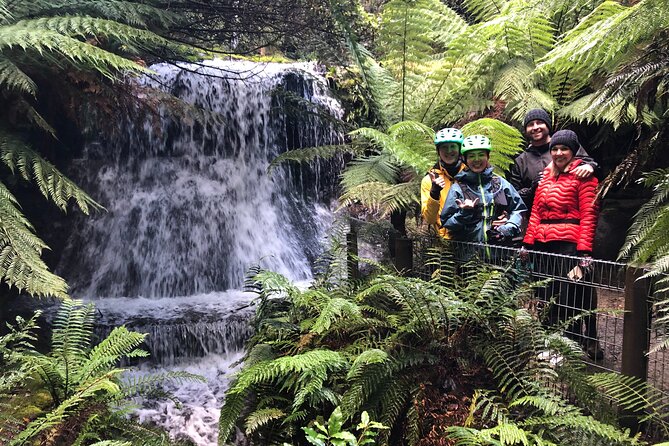Easy Bike Tour - Mt Wellington Summit Descent & Rainforest Ride - Key highlights you’ll actually care about