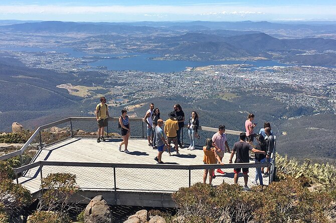 Easy Bike Tour - Mt Wellington Summit Descent & Rainforest Ride - South Hobart start: briefing, bike setup, and getting your bearings fast