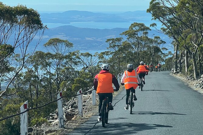 Easy Bike Tour - Mt Wellington Summit Descent & Rainforest Ride - The 6 km descent: steep road excitement with a safety net