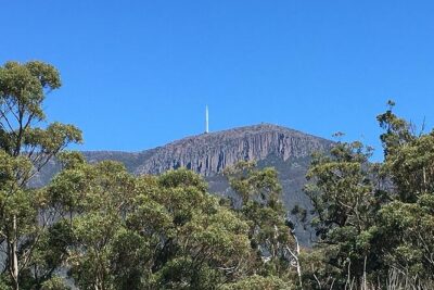 Easy Bike Tour - Mt Wellington Summit Descent & Rainforest Ride - The summit photo window: quick views, fast transition