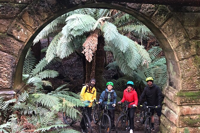 Easy Bike Tour - Mt Wellington Summit Descent & Rainforest Ride - Lost Freight Cafe stop: drink, toilets, and a breather without the detour