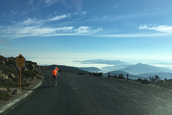 Easy Bike Tour - Mt Wellington Summit Descent & Rainforest Ride - The rainforest ride: 11 km of easy downhill on compact dirt
