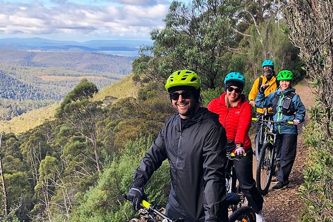 Easy Bike Tour - Mt Wellington Summit Descent & Rainforest Ride - Terrain and fitness: what “any level” really means here