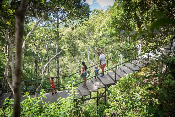 Ebony Forest Reserve Chamarel - Take a Hike Tour - Price and timing: does $10.47 feel like value?
