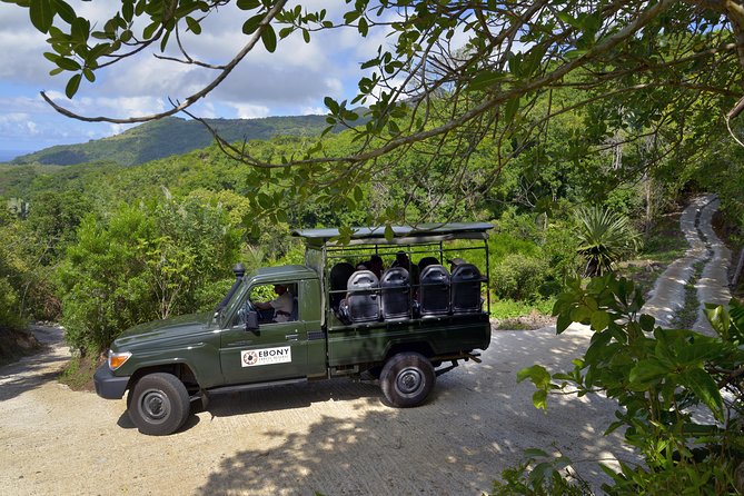 Ebony Forest Reserve Chamarel - Take a Hike Tour - Who should book this, and who should skip it