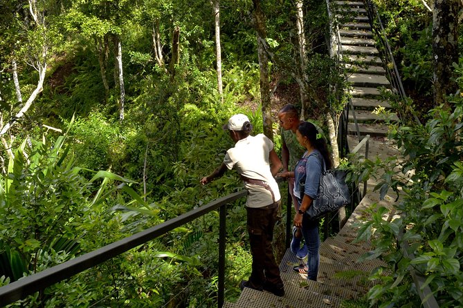 Ebony Forest Reserve Chamarel - Take a Hike Tour - Practical packing list: small items that save the day