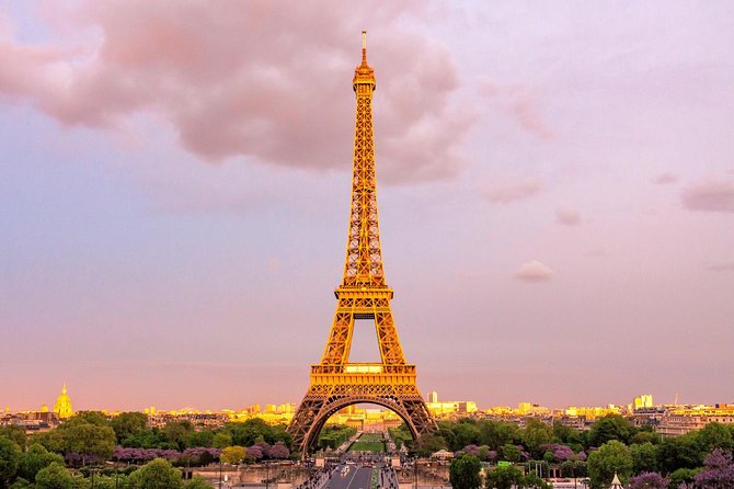 Eiffel Tower Pre Booked Ticket by Lift with Summit Options - What happens during the tour: your priority elevator moment