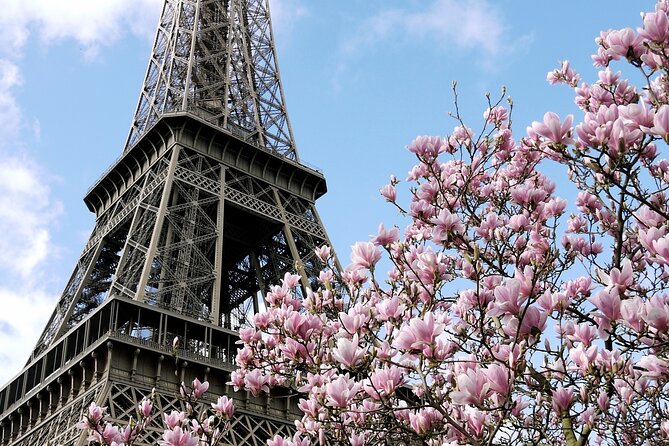 Eiffel Tower Summit Semi-Private Guided Tour - Price and Value: What You’re Paying $166.22 For