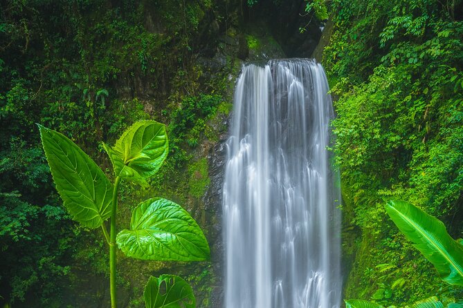 El Tigre Waterfalls Hiking Tour with Lunch and Nature Guide - Key things to know before you go