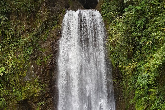 El Tigre Waterfalls Hiking Tour with Lunch and Nature Guide - Entering El Tigre’s Cloudforest Morning (7:00 am start)