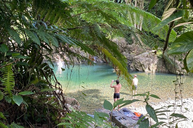 El Yunque Hike Adventure to Las Tinajas Waterfall from Fajardo - The El Yunque National Forest Hike: Flora, Wildlife, and Real Climbing