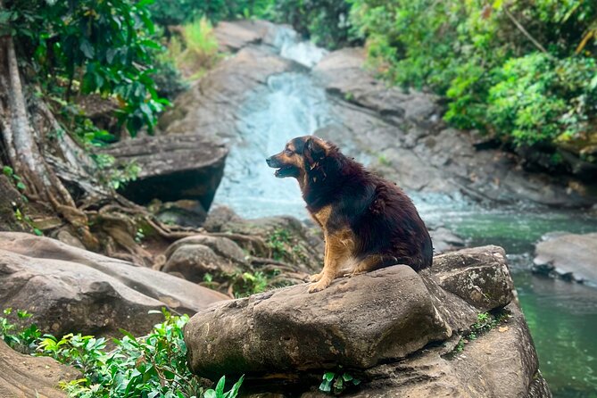 El Yunque Hike, Waterslide & Luquillo Kiosks Food with Transport - El Yunque water slide time: why natural play beats a theme-park rush