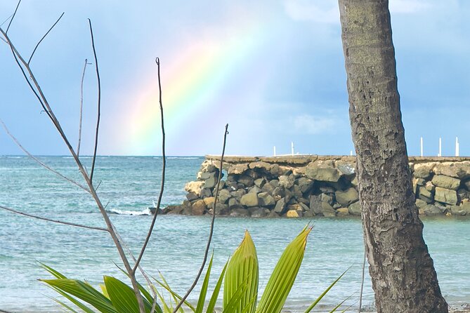 El Yunque Hike, Waterslide & Luquillo Kiosks Food with Transport - Los kiosks in Luquillo: where lunch becomes part of the culture