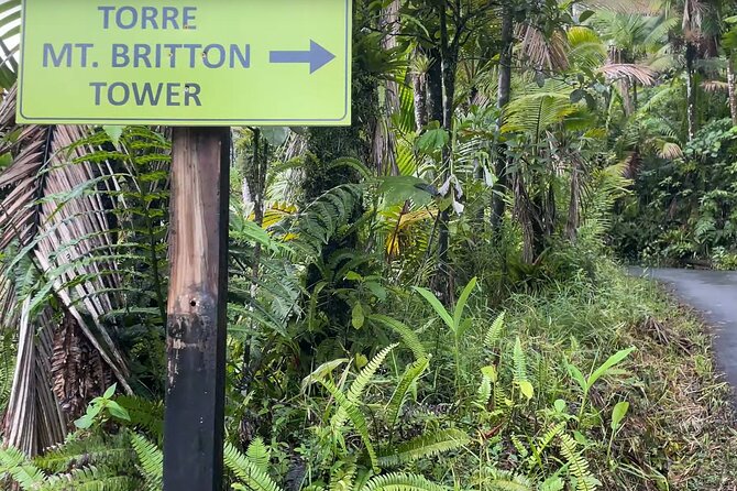 El Yunque Rainforest Hike with Transport from San Juan - How much hiking is it, really? The tower changes the pacing